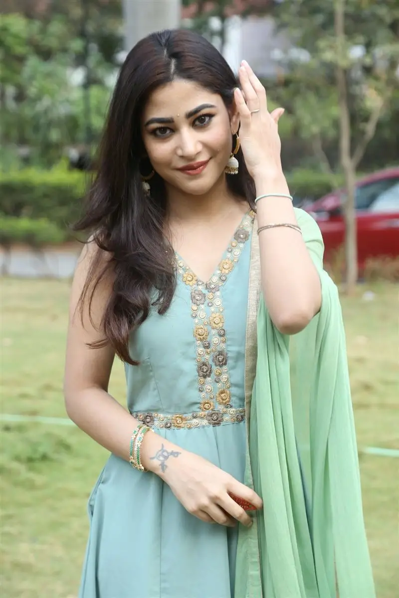 Telugu Girl Sonu Thakur In Sleeveless Green Gown